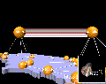 Network visualization
